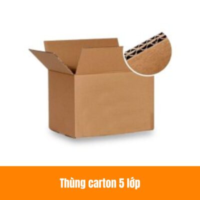 thung carton 5 lop tphcm