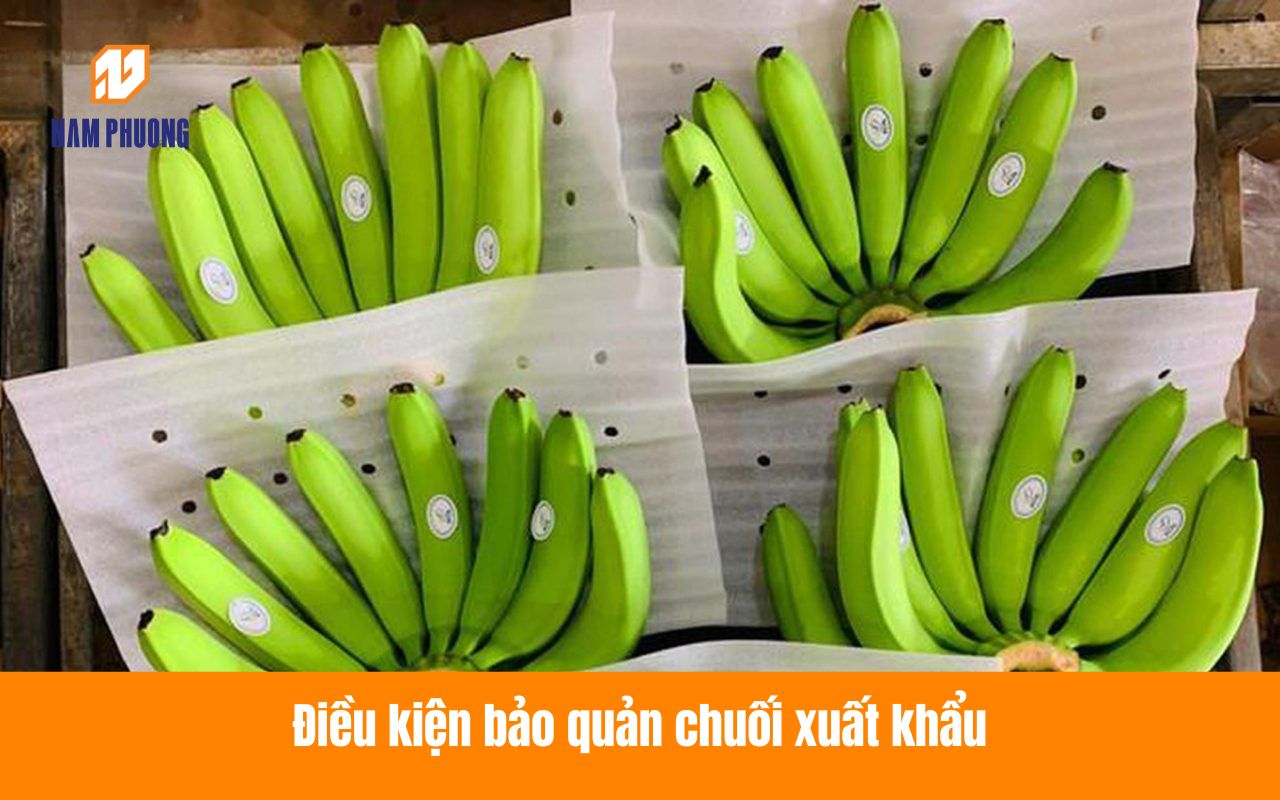 Điều kiện bảo quản chuối xuất khẩu