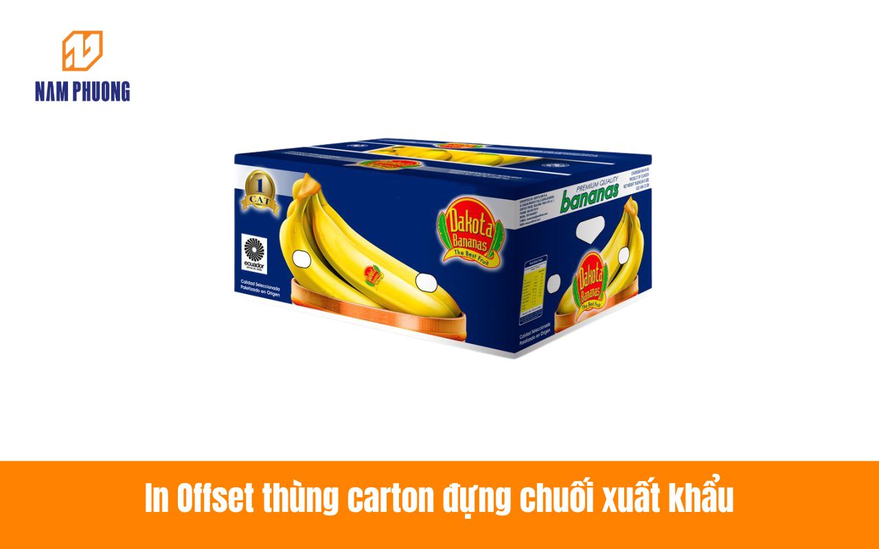 In Offset thùng carton đựng chuối xuất khẩu