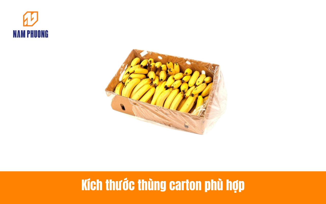 Kích thước thùng carton phù hợp