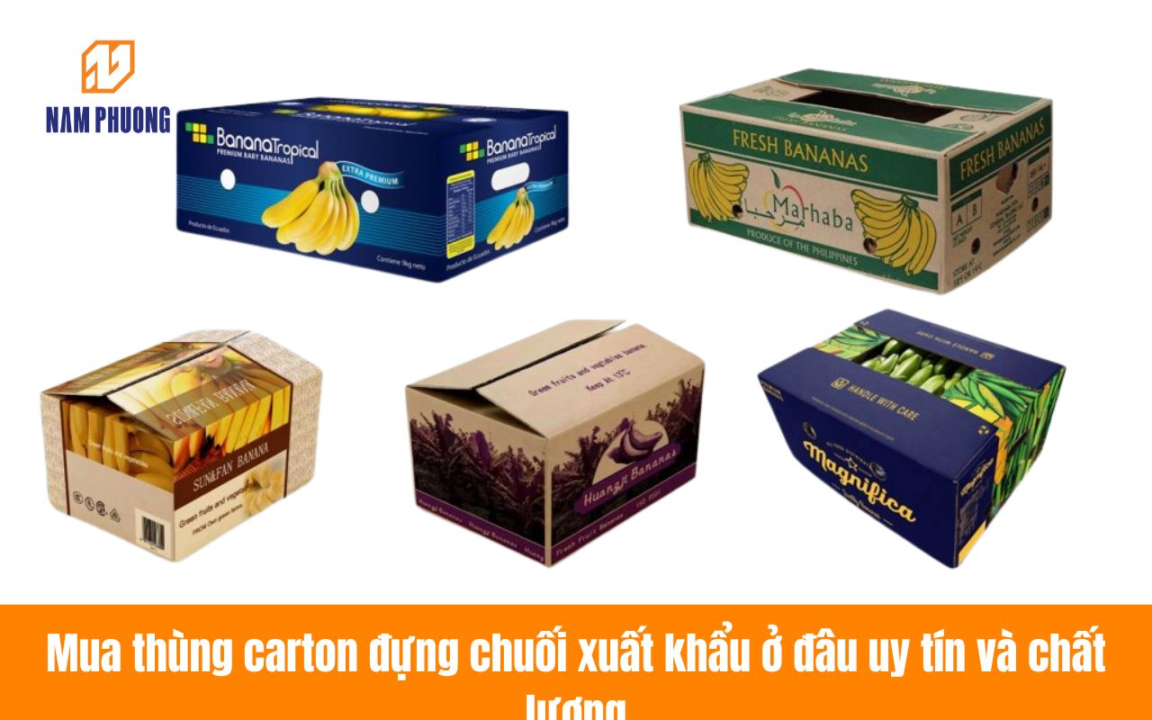 Mua thùng carton đựng chuối xuất khẩu ở đâu uy tín và chất lượng