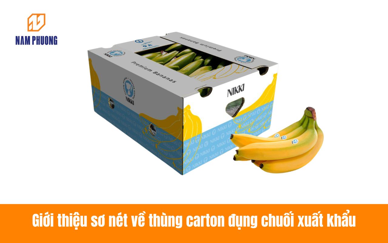 Giới thiệu sơ nét về thùng carton đựng chuối xuất khẩu