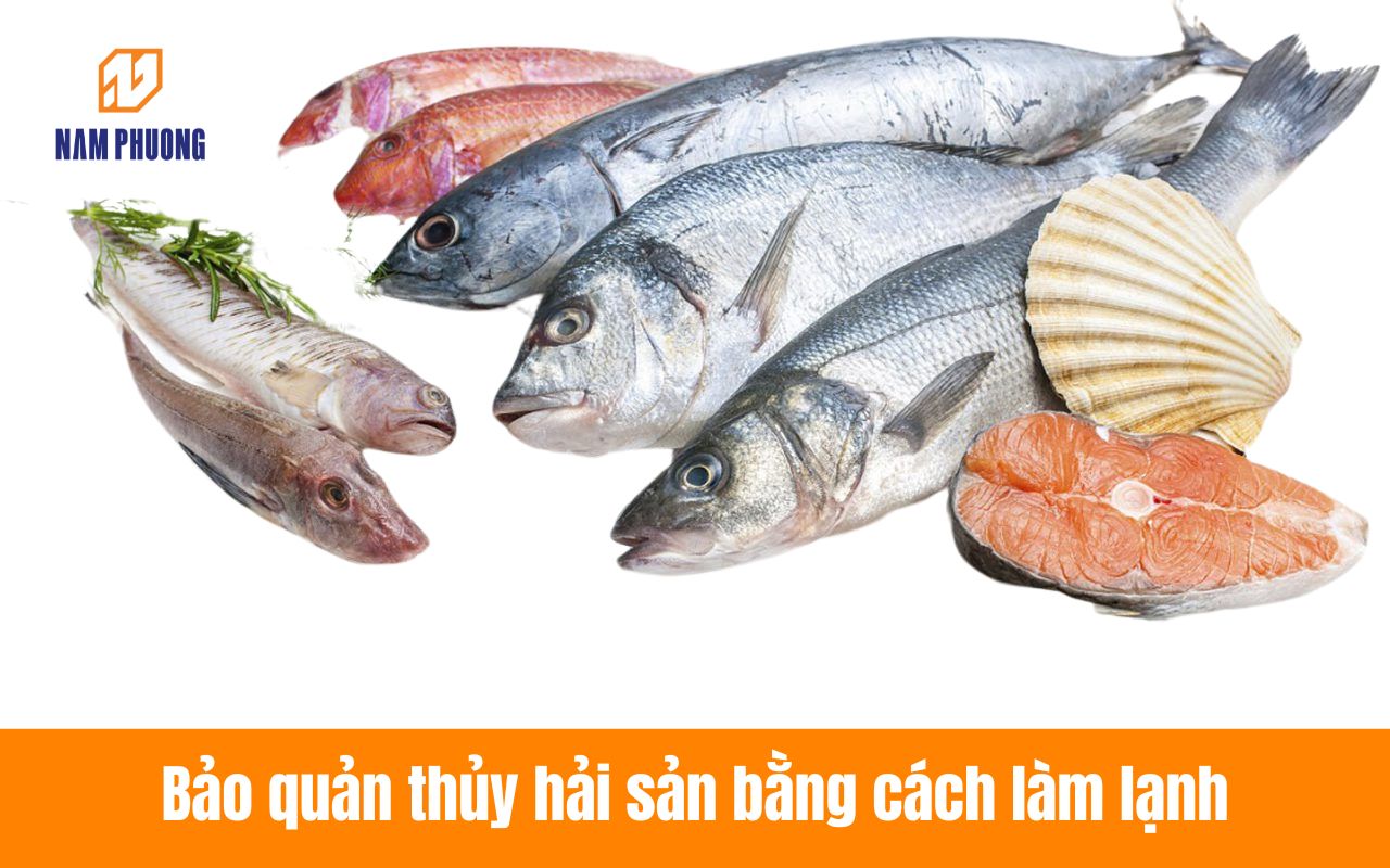 Bảo quản thủy hải sản bằng cách làm lạnh