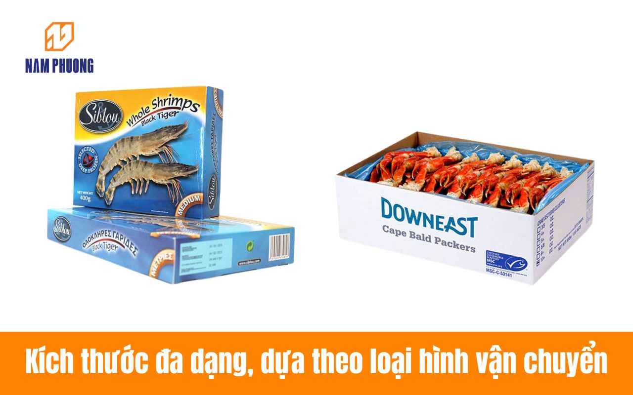 Kích thước đa dạng, dựa theo loại hình vận chuyển