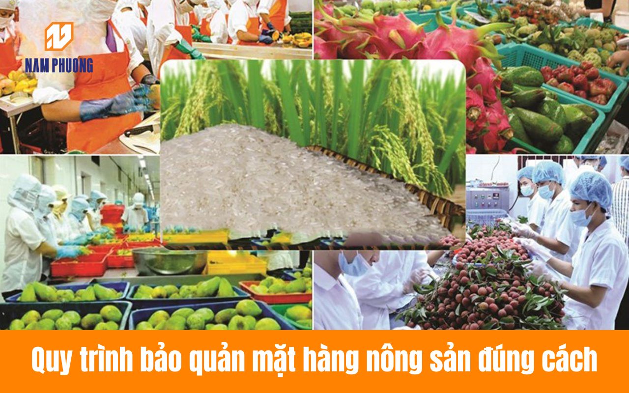 Quy trình bảo quản mặt hàng nông sản đúng cách