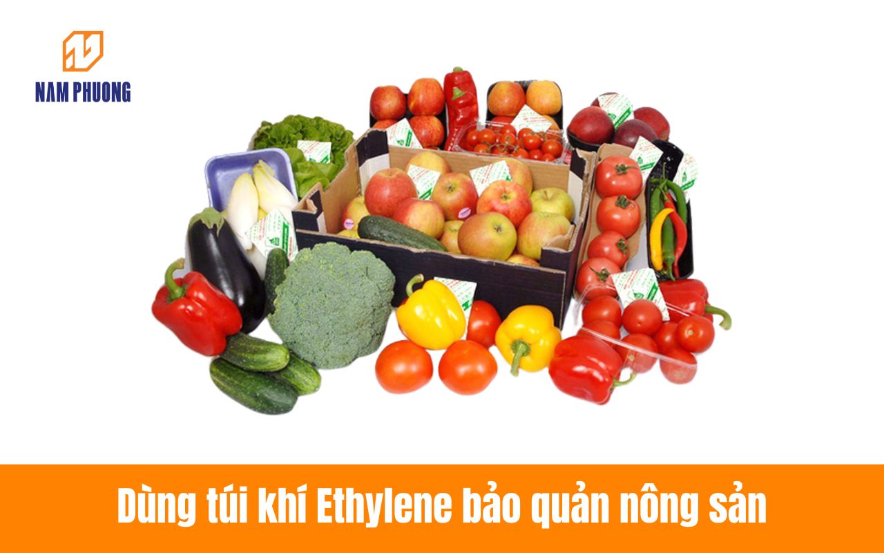 Dùng túi khí Ethylene bảo quản nông sản