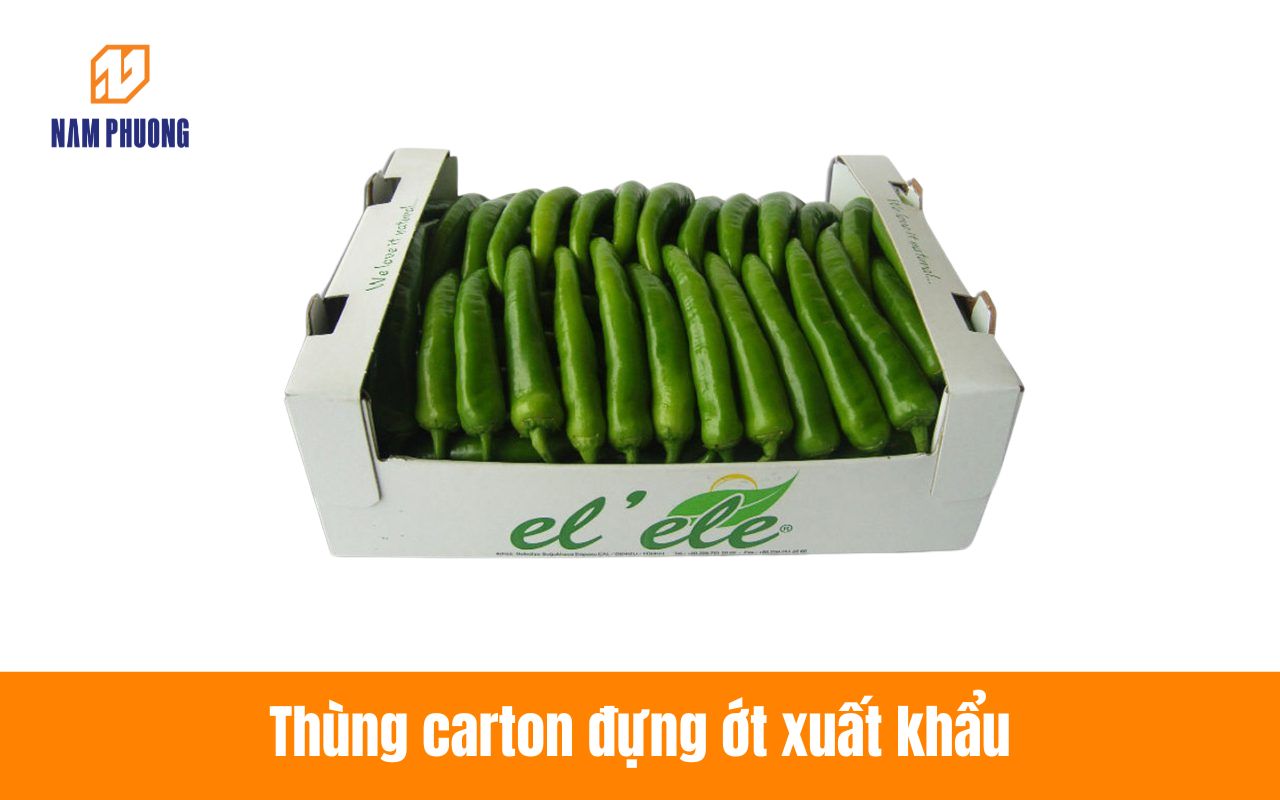 Thùng carton đựng ớt xuất khẩu