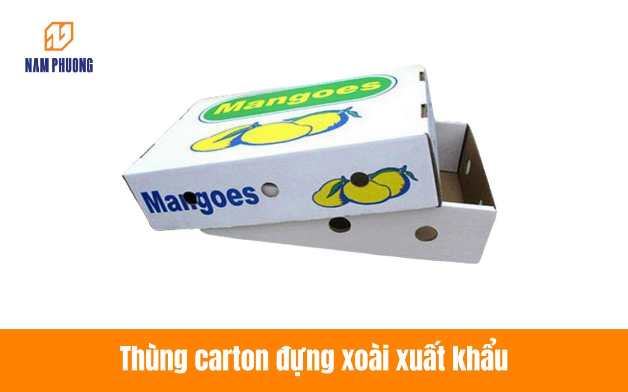 Thùng carton đựng xoài xuất khẩu