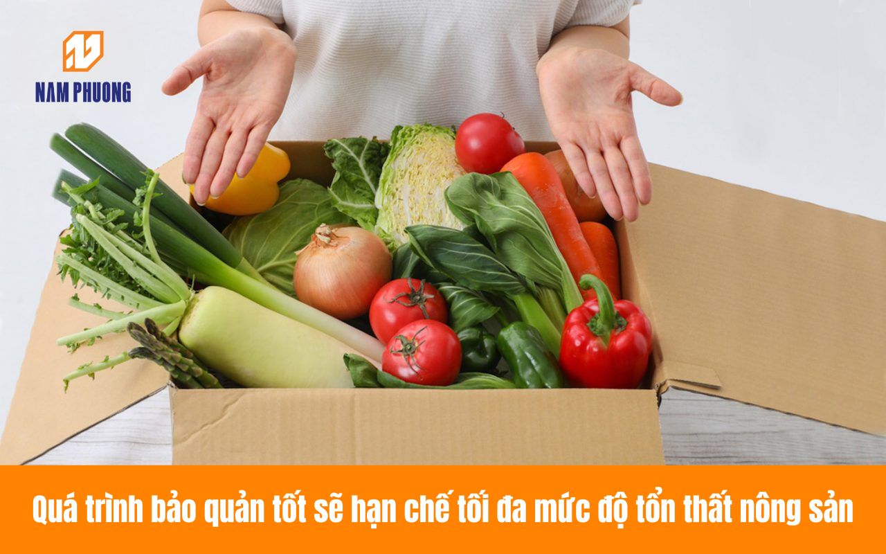 Quá trình bảo quản tốt sẽ hạn chế tối đa mức độ tổn thất nông