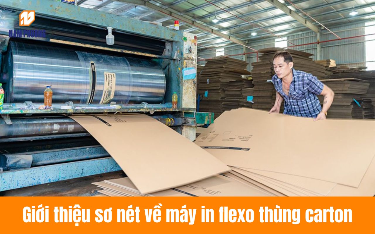 Giới thiệu sơ nét về máy in flexo thùng carton