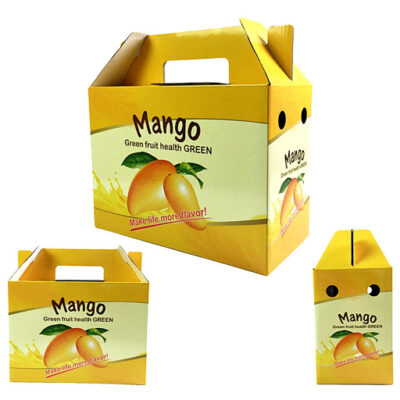 Thùng carton đựng chanh