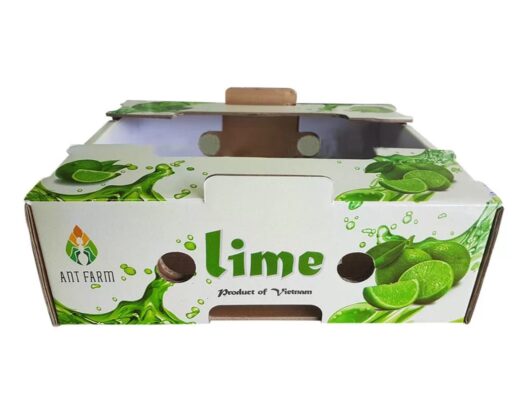 Thùng carton đựng chanh