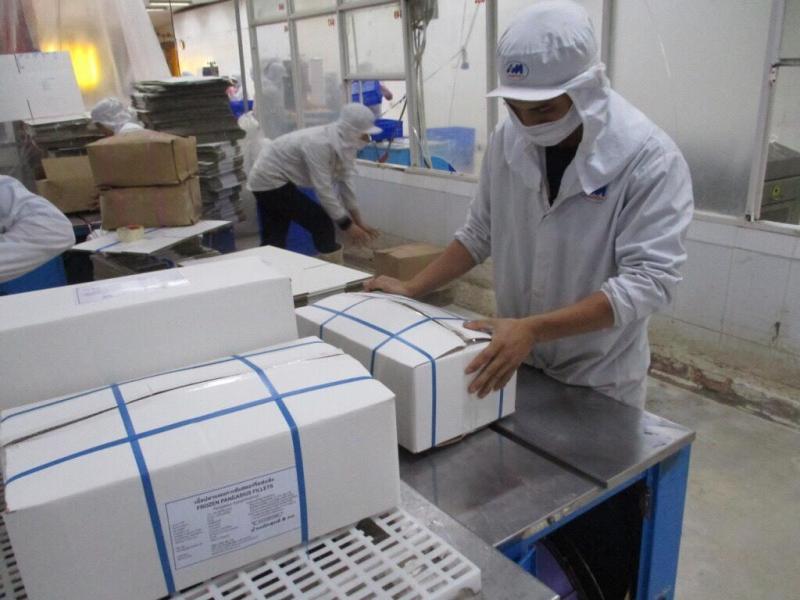 thùng carton đựng hàng đông lạnh xuất khẩu