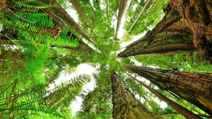 thiết kế bao bì xu hướng xanh 2023