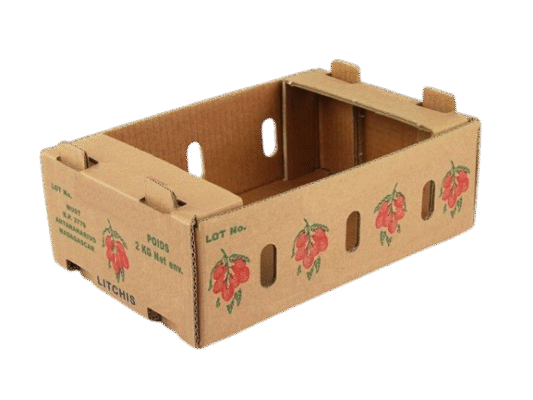 carton