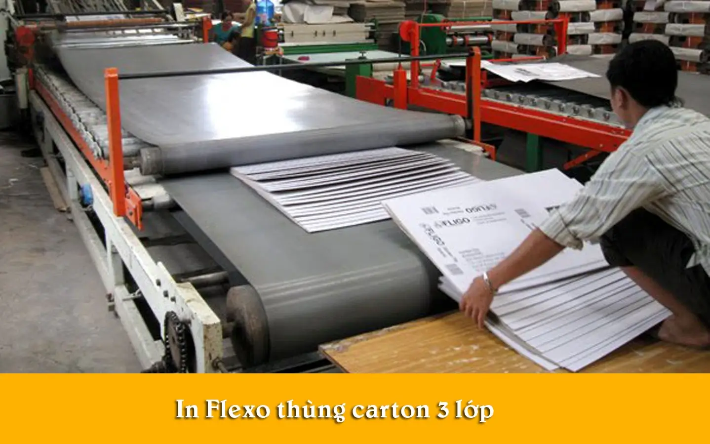 thung carton 3 lop