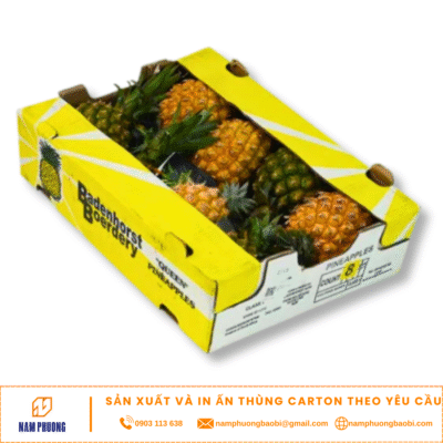 Custom Printed Corrugated Paper Pineapple Export Fruit Boxes Manufacturer Supplier Factory