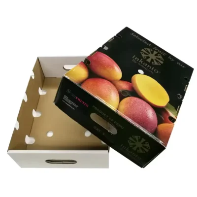 mua thùng carton đựng trái cây xuất khẩu giá rẻ ở đâu tphcm
