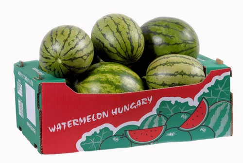 mua thùng carton đựng trái cây xuất khẩu giá rẻ ở đâu tphcm
