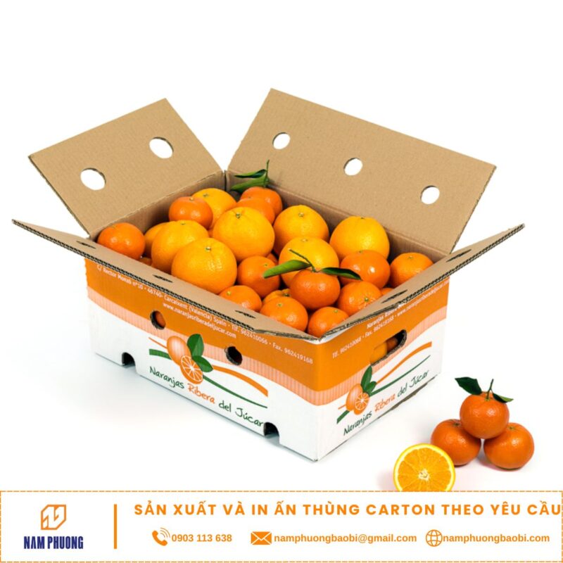 công ty sản xuất thùng cam giá rẻ nhất hiện nay ở đâu