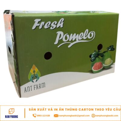 printing POMELO GRAPEFRUIT packaging boxes cheapest for export demand