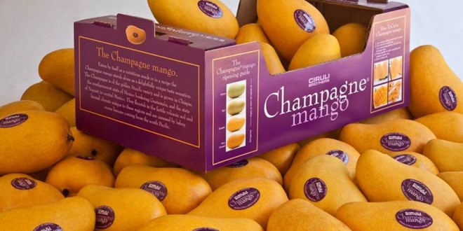 kích thước thùng carton đựng trái cây xuất khẩu giá rẻ ở đâu tphcm