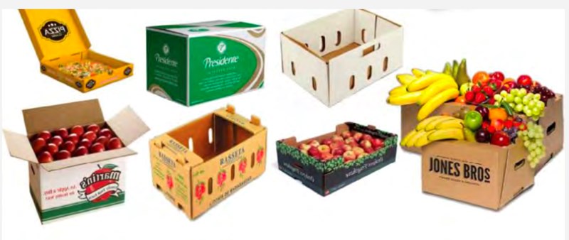 mua thùng carton đựng trái cây xuất khẩu giá rẻ ở đâu tphcm
