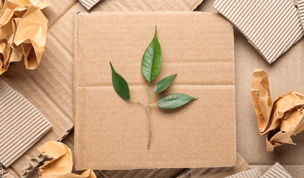 xưởng in thùng carton
