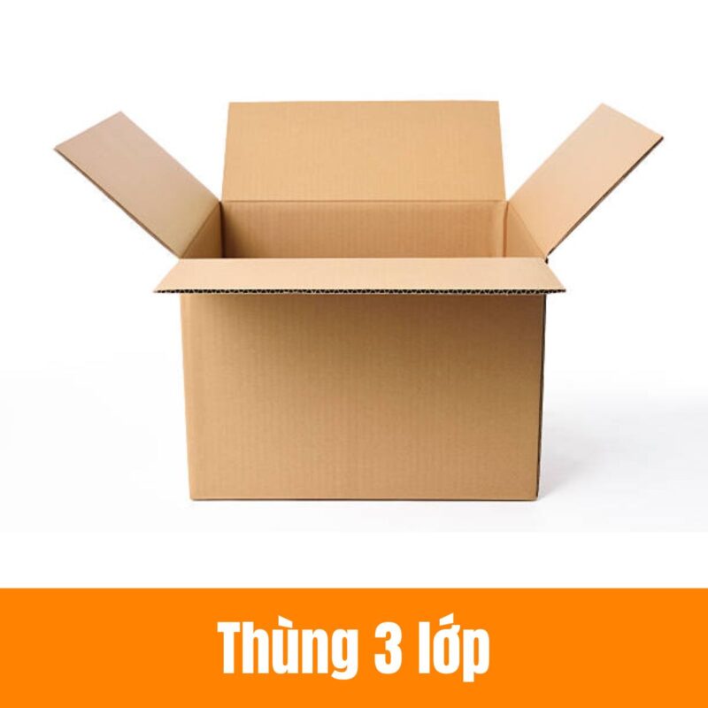 thung-carton-3-lop-1